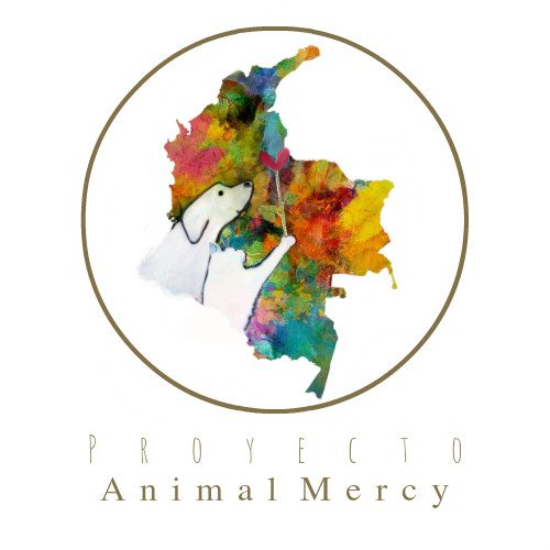 Proyecto Animal Mercy
